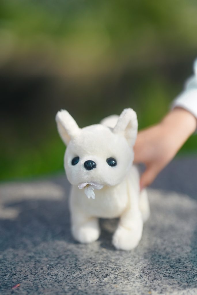 平塚市カメラマン