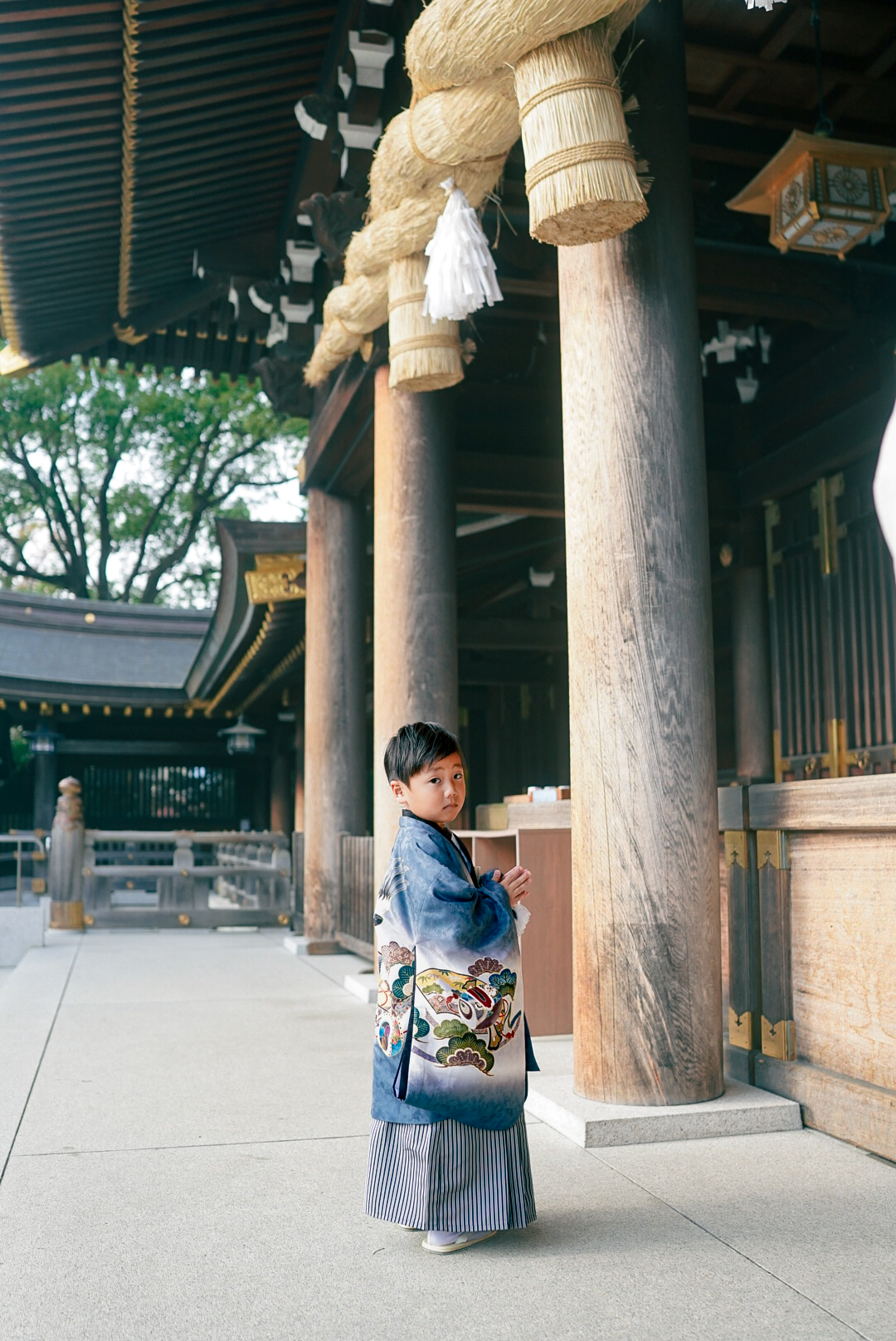 寒川神社で七五三